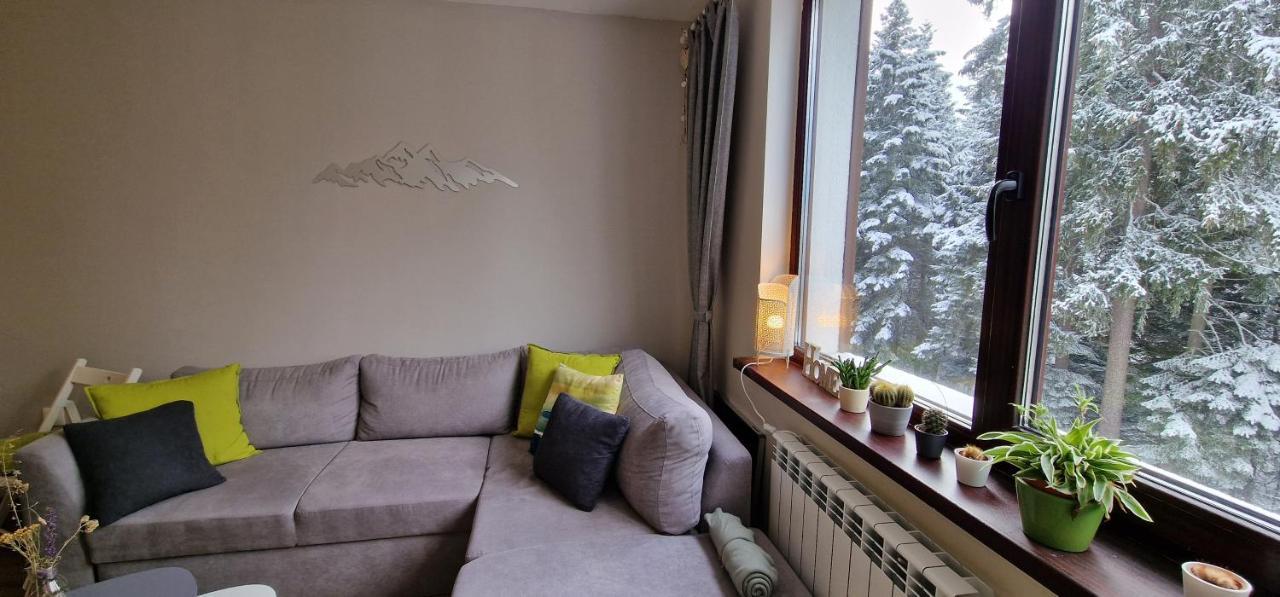 Pine Tree Apartment / Borovets Gardens Eksteriør billede